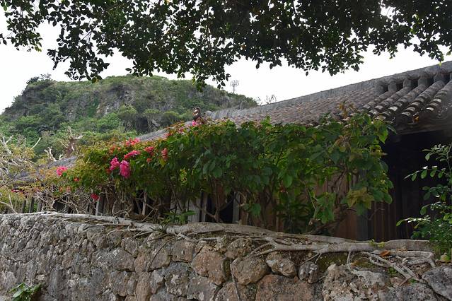 冲绳岛上的人间仙境,冲绳城市