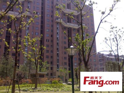 东方明珠和上海中心对比,东方晶华园房价走势