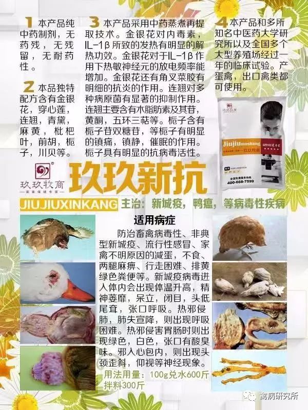 小鹅瘟疫为什么这么严重,小鹅苗近期生病是什么原因