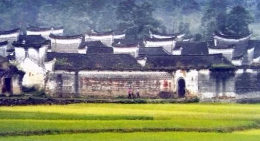 周家大院牡丹,周家大院深谷幽兰