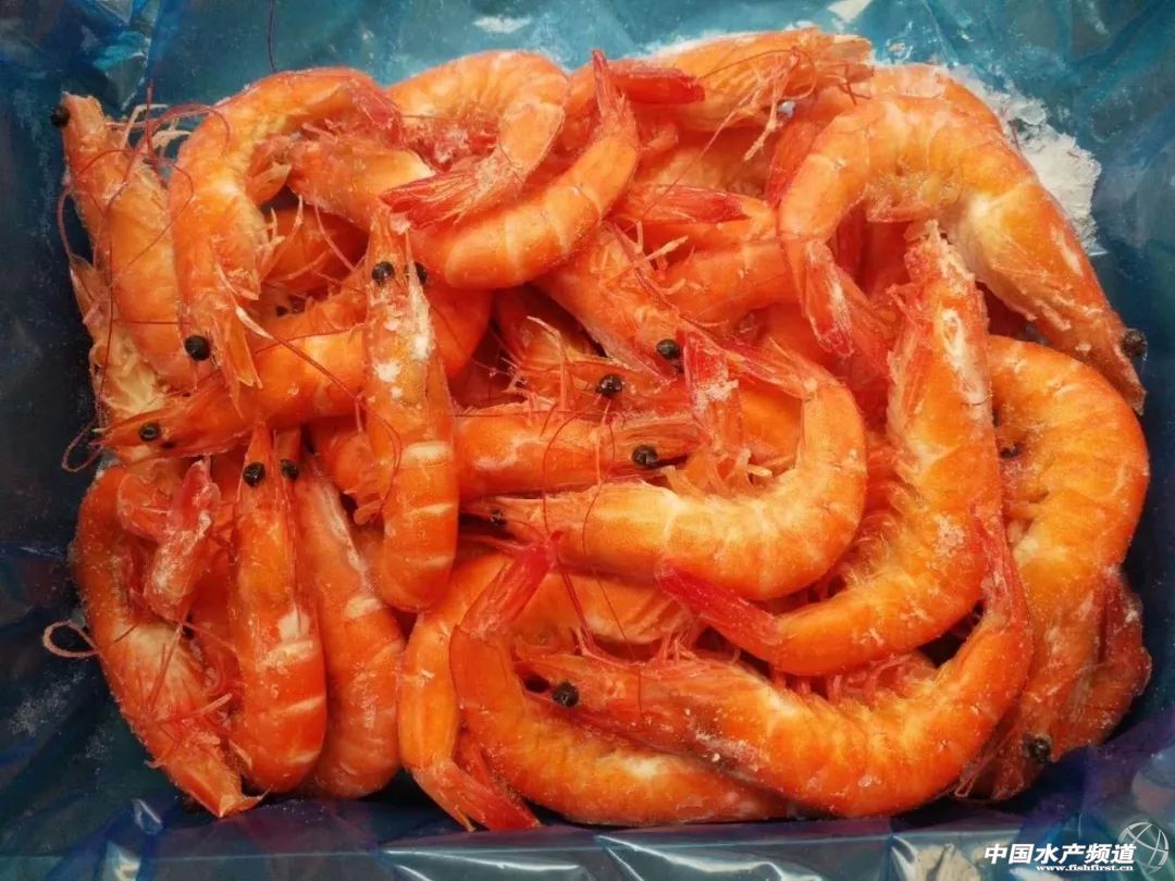 饭店做的白灼虾为啥那么好吃,大排档的白灼虾为什么那么鲜甜