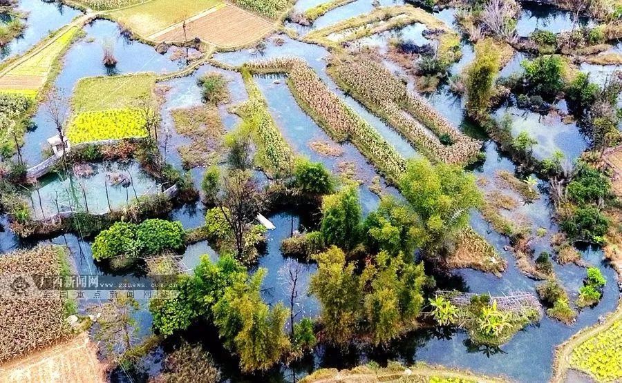 广西空气质量排名,2023广西各市空气质量排名