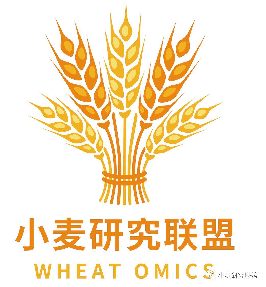 一千零一技|SnpHub：利用VarTable查询变异数据