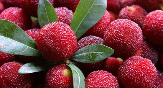 3颗杨梅下肚,宁波小伙喉咙肿胀呼吸困难…这种情况千万管住自己的嘴