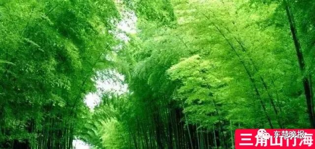 黄石天气热了有没有什么景点,黄石假期可去的风景区