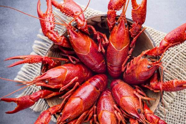 为什么小龙虾有红色和青色的,吃了小龙虾最长时间多久会过敏