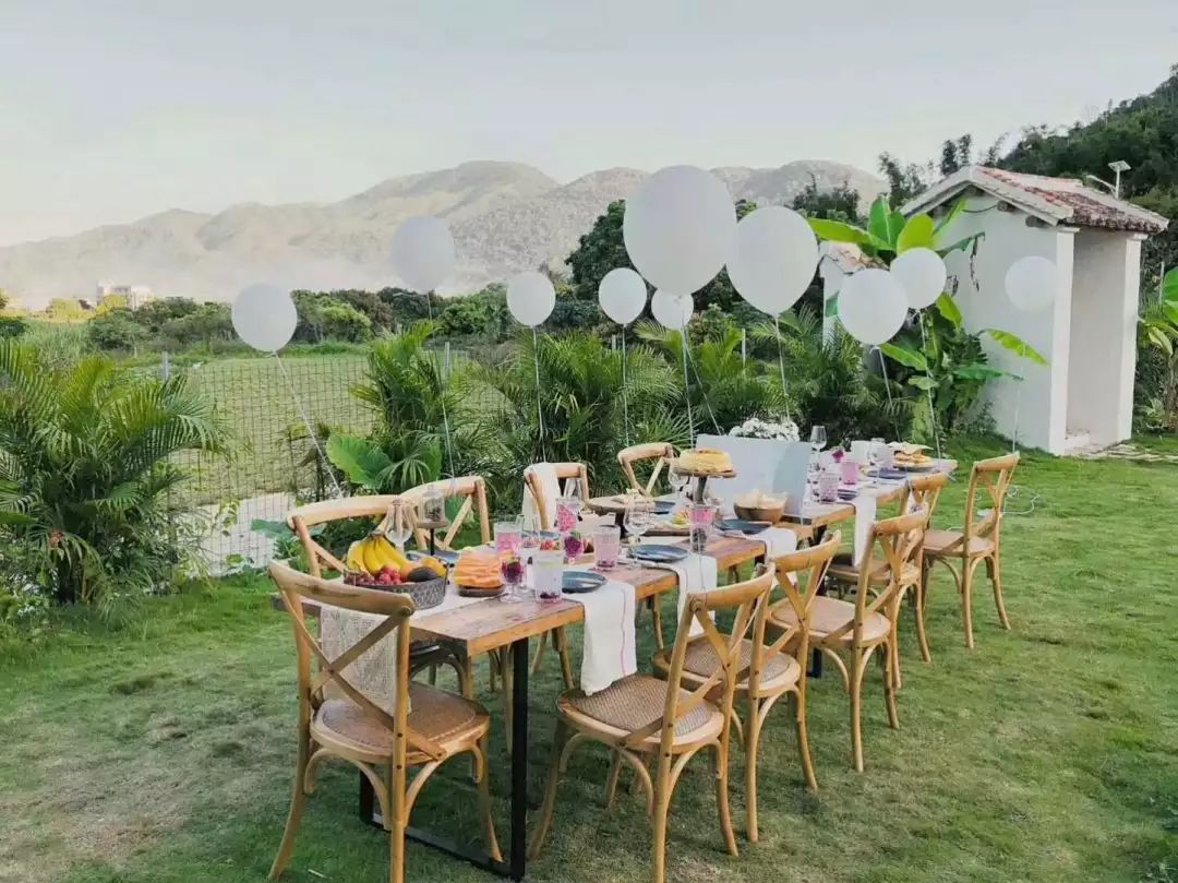 7个闺蜜在稻田里爆改了个“玻璃盒子”，只为兑现养老之约，却意外走红