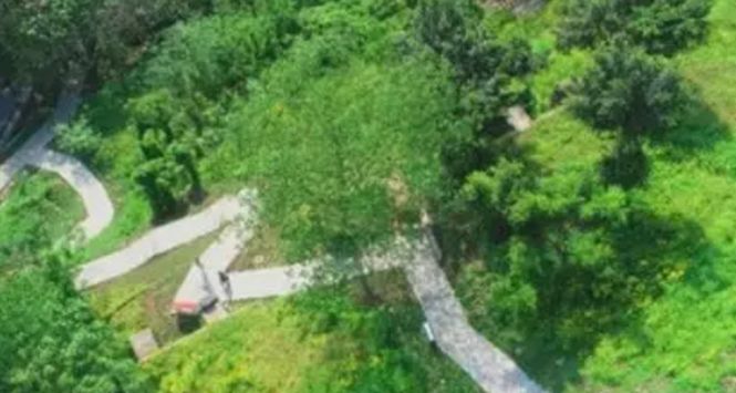 让全民动起来健身,让全民健康动起来