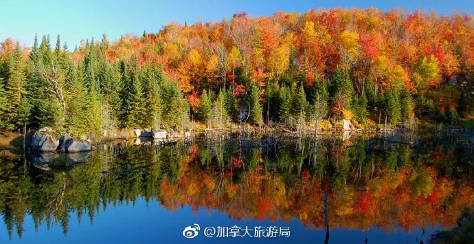 上海直飞三天两晚旅游,上海虹桥飞机能直飞国内哪些地方