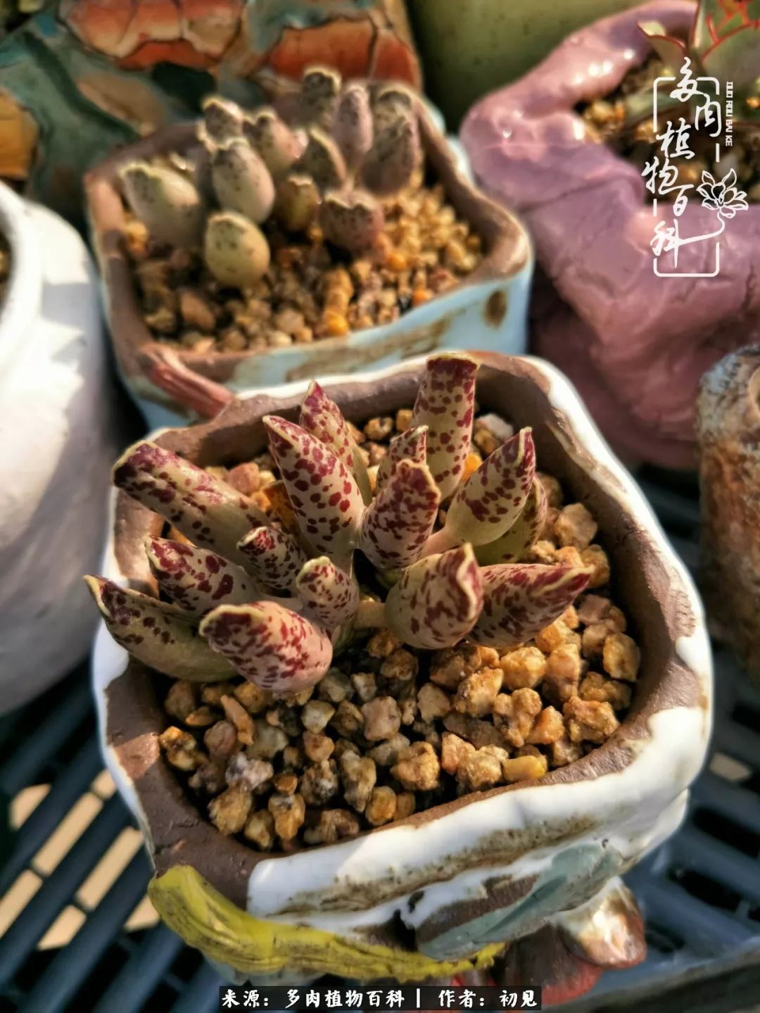 紧张的高三生活也需要适度的放松,紧张焦虑高考