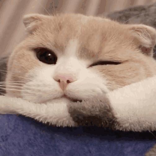 抢不到高桥盾的Daybreak没关系，这双“细节之王”更得我心