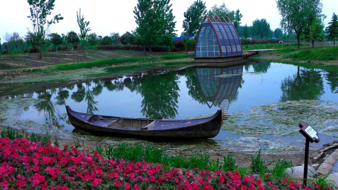 郑州跻身全国前5,金榜题名全国各省排名