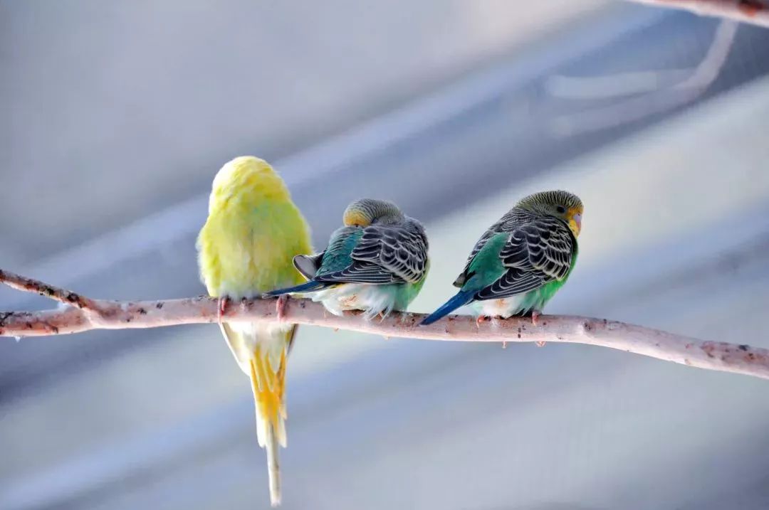 厦门适合带孩子去玩的地方推荐,厦门6月份哪里好玩