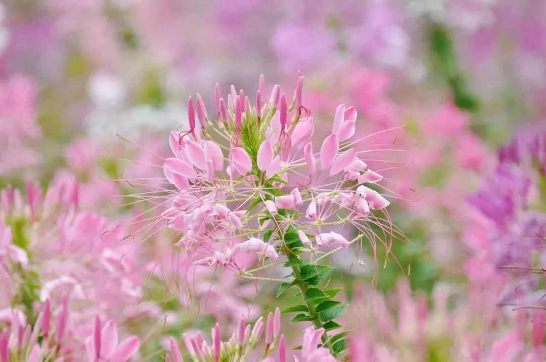 厦门适合带孩子去玩的地方推荐,厦门6月份哪里好玩