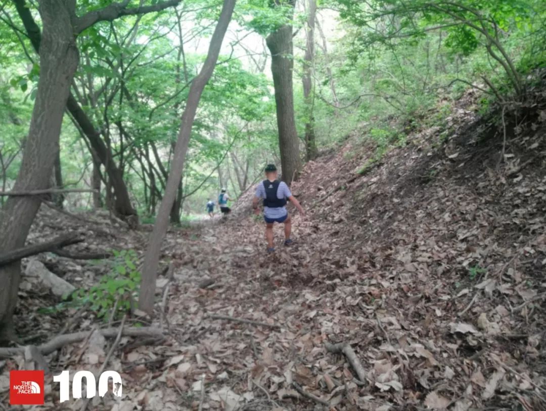 tnf100官网成绩查询,tnf100秦岭国际越野跑