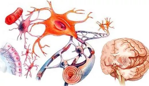 38岁女人每晚做梦是什么原因,42岁女得脑胶质瘤