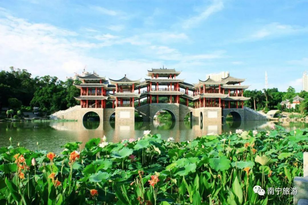 狮山公园春游,南宁狮山公园观竹赏荷