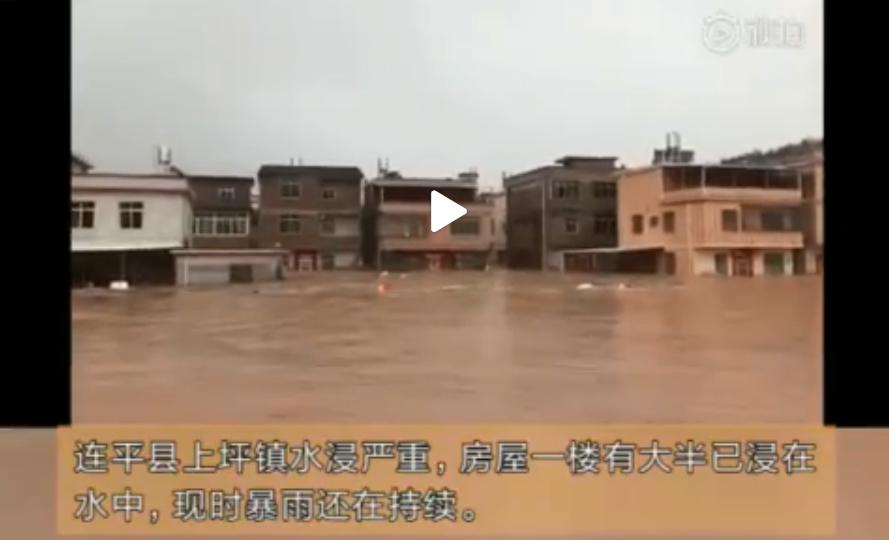 张家口手机台新闻早播报6月11日