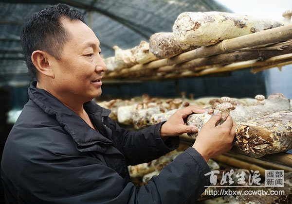 回乡创业带领乡亲致富的故事,创业失败3次继续创业