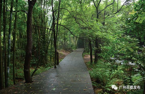 济南融创文旅城开业倒计时36天,广州花都融创文旅城c2区