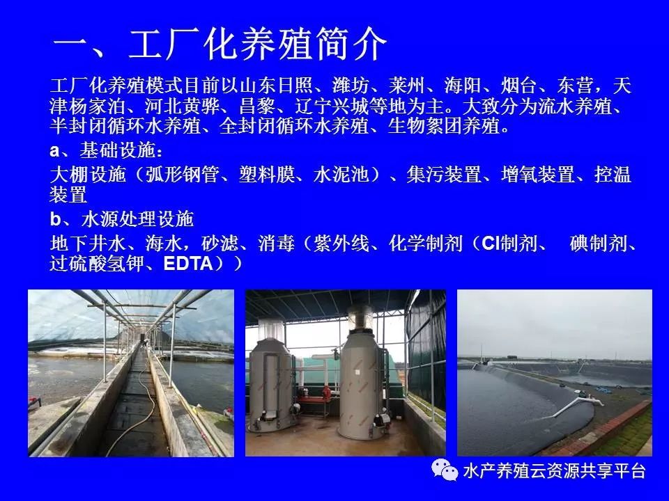 工厂化养殖南美白对虾技术详解,工厂化南美白对虾养殖全过程