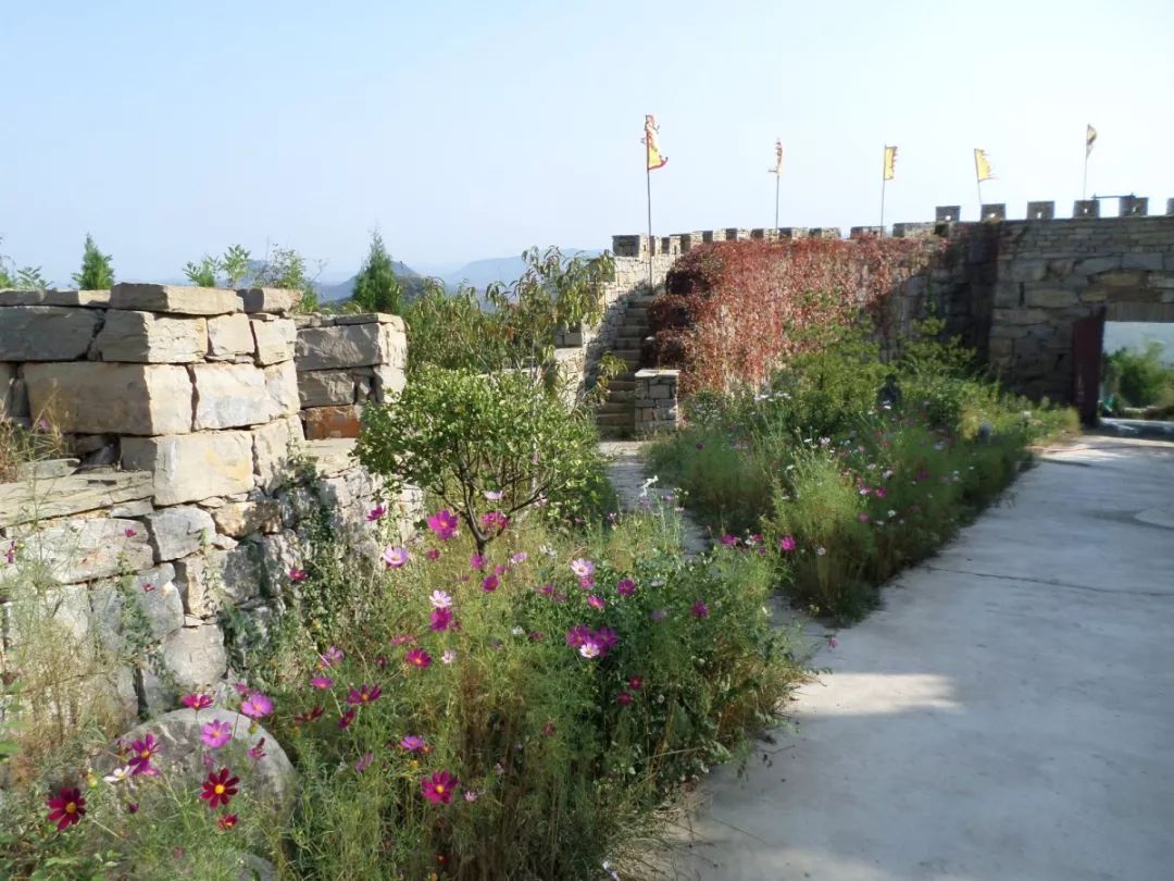 济南九如山地方网红景点门票,山东九如山风景区门票价格