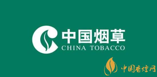 利群品牌创建于哪一年,利群香烟品牌发展史