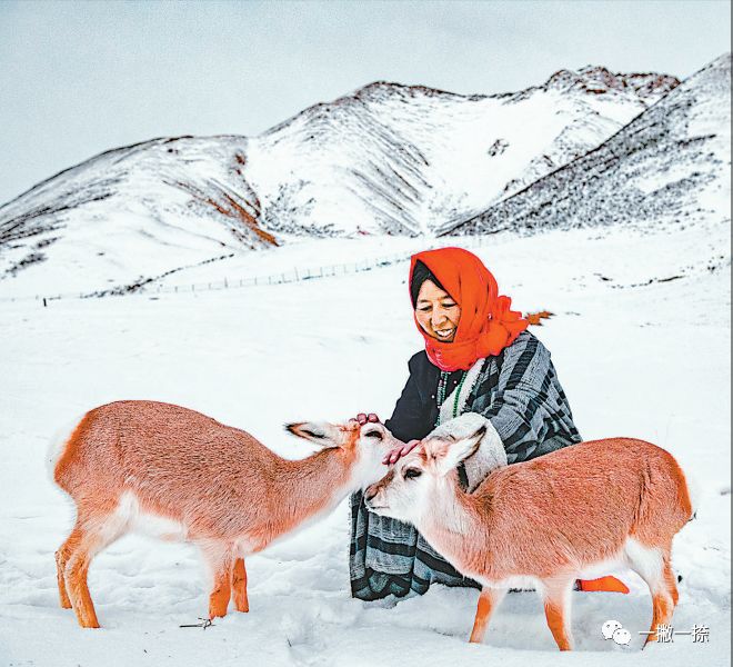 人民日报最经典的照片,人民日报年度好照片