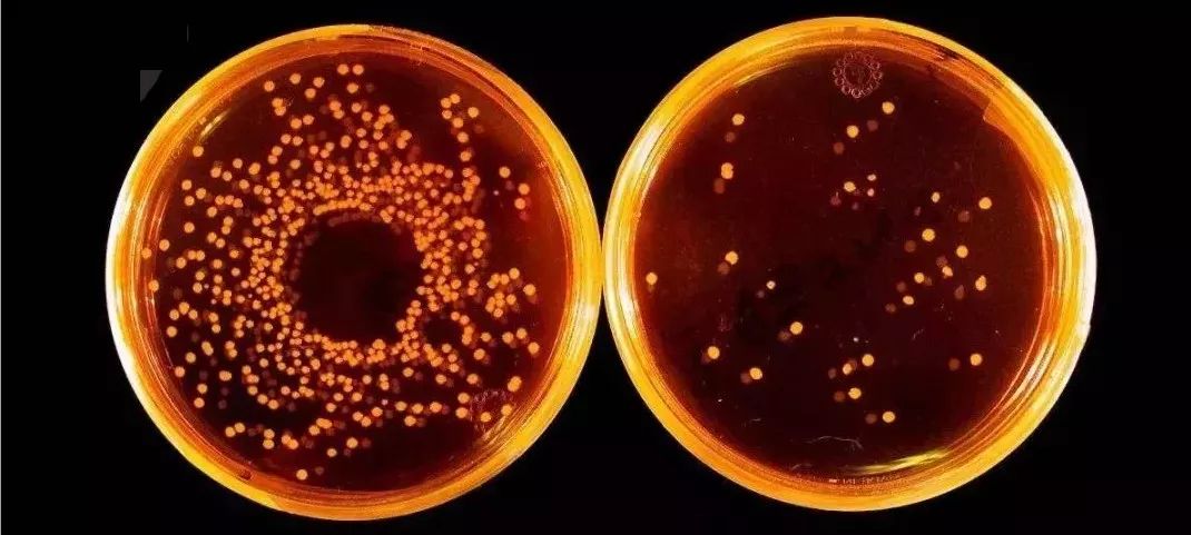 洗衣机里加点它，10分钟排出黑脏水