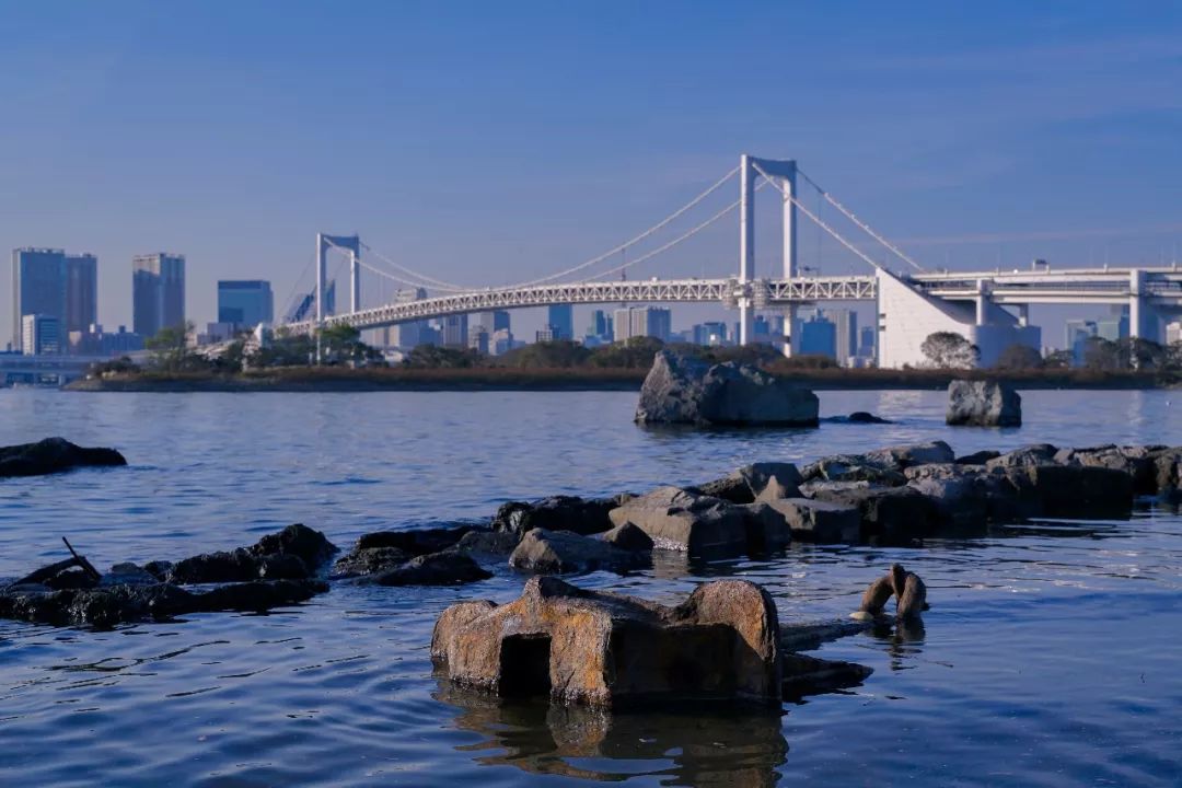 rx78-2自由高达,rx-78-2元祖高达基地限定配色