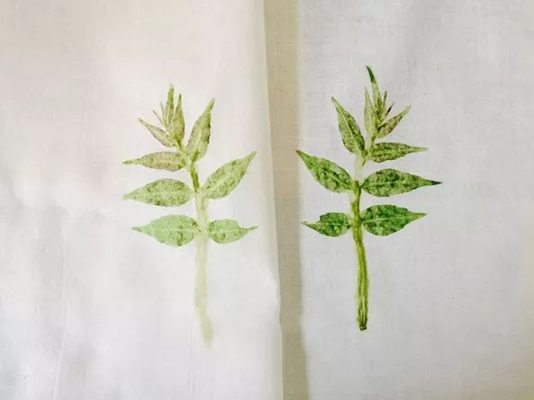 植物染布简单教程,绿色植物扎染怎么做