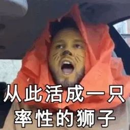 四六级神翻译,四六级翻译神评