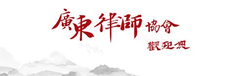 深圳律师张丽杰,律师张丽杰