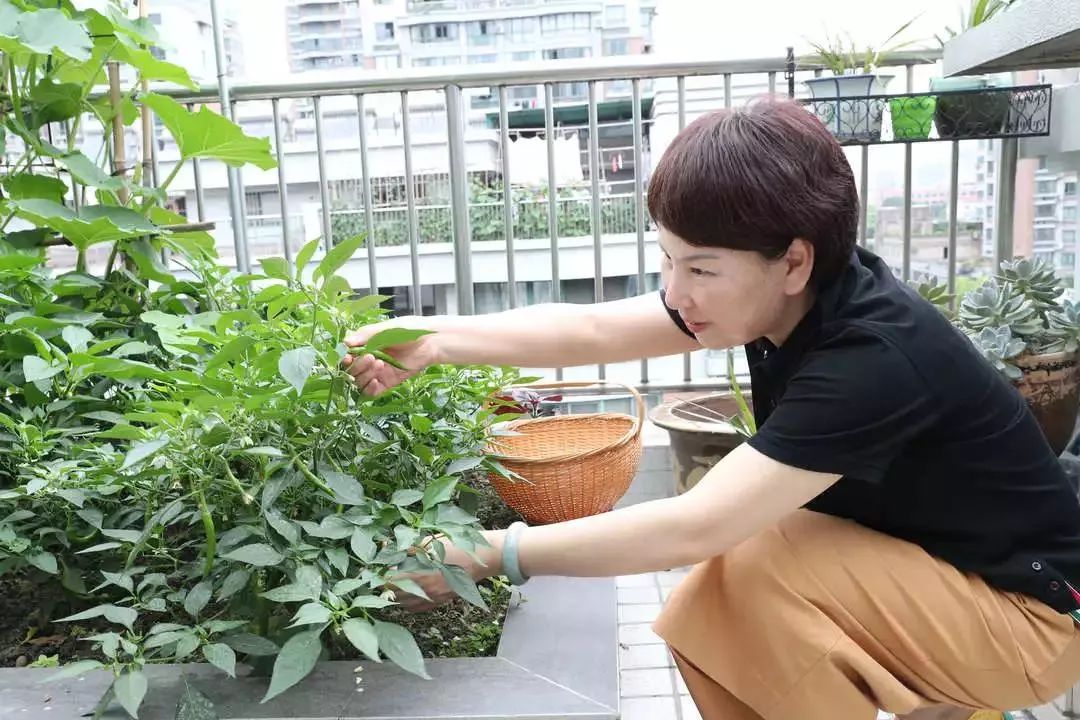 打造美好幸福的家,打造一片天地