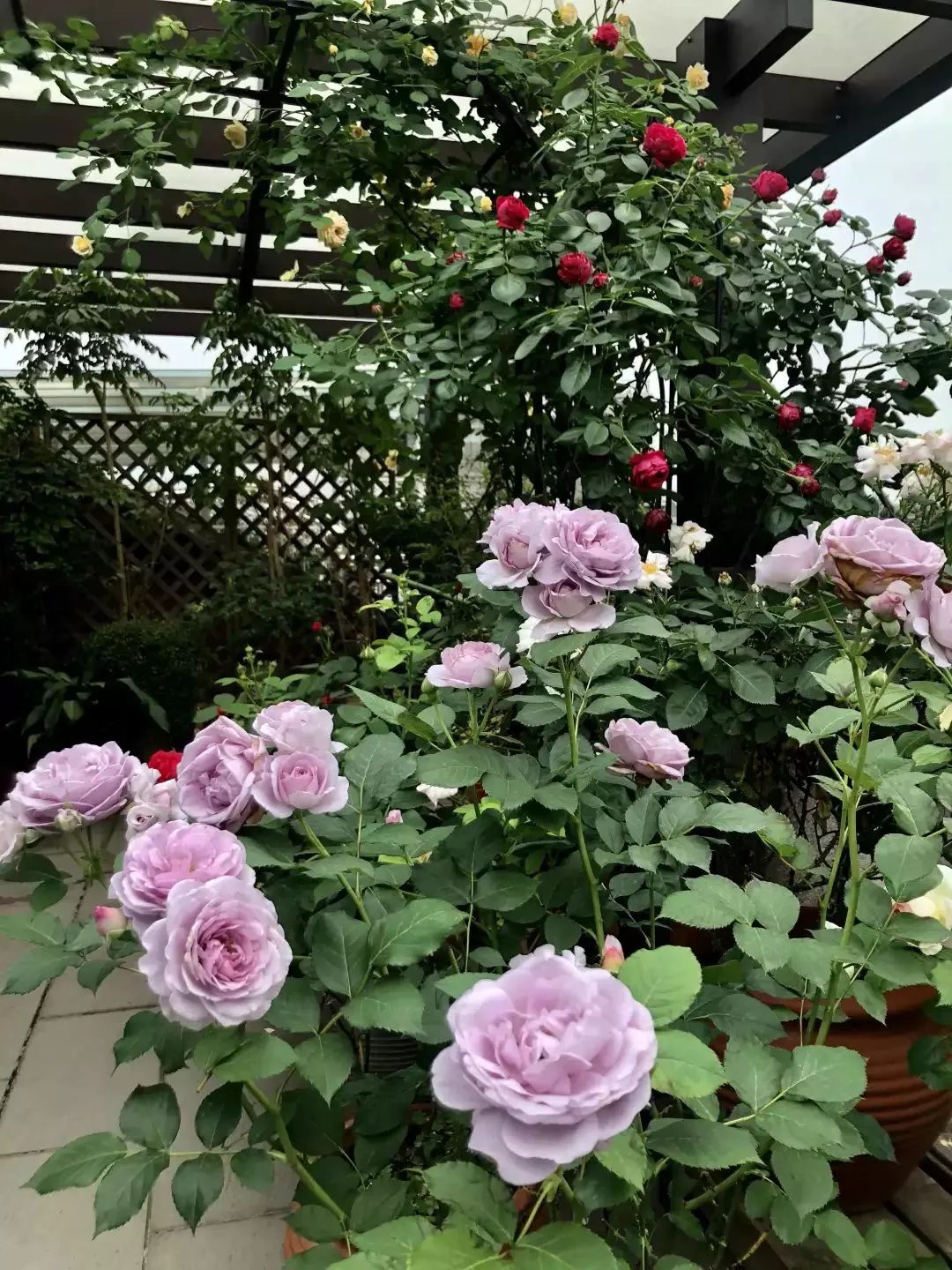 打造美好幸福的家,打造一片天地