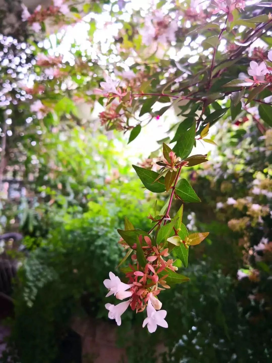 打造美好幸福的家,打造一片天地