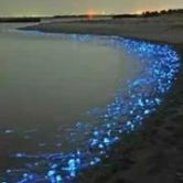 海康威视股吧几个跌停,海康威视股票