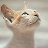 中国一重股吧目标价,中国一重股吧千股千评