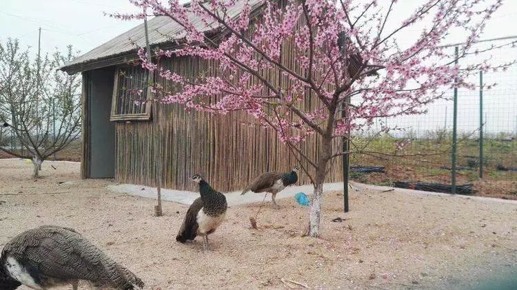 滁州大动作规划,滁州下周有什么发展