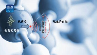 屠呦呦团队攻克青蒿素抗药性难题,屠呦呦发现青蒿素的抗药性