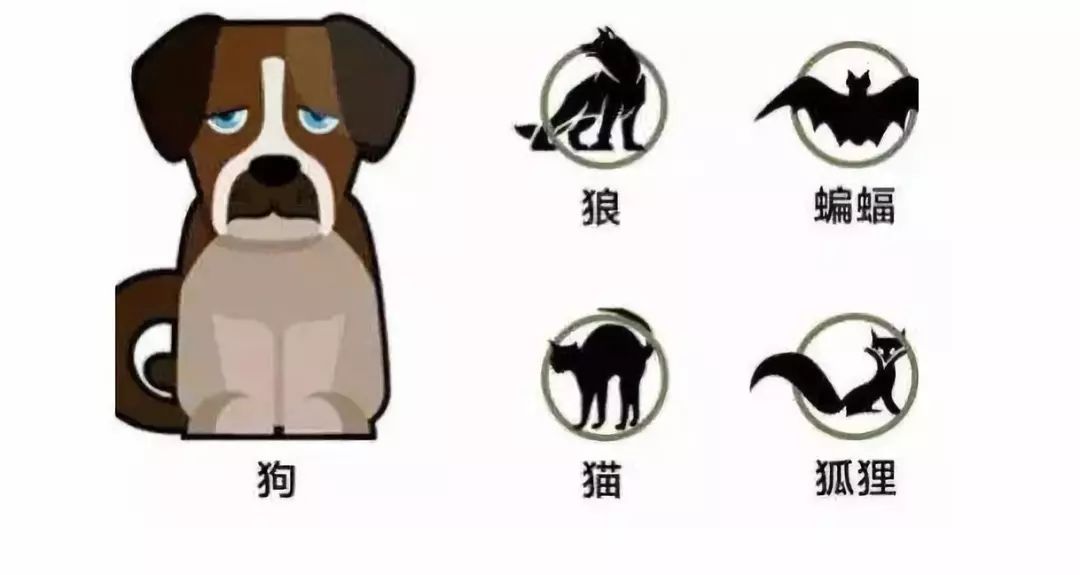 老鼠出血热疫苗多少钱一针,吃了老鼠咬过的东西会得出血热吗