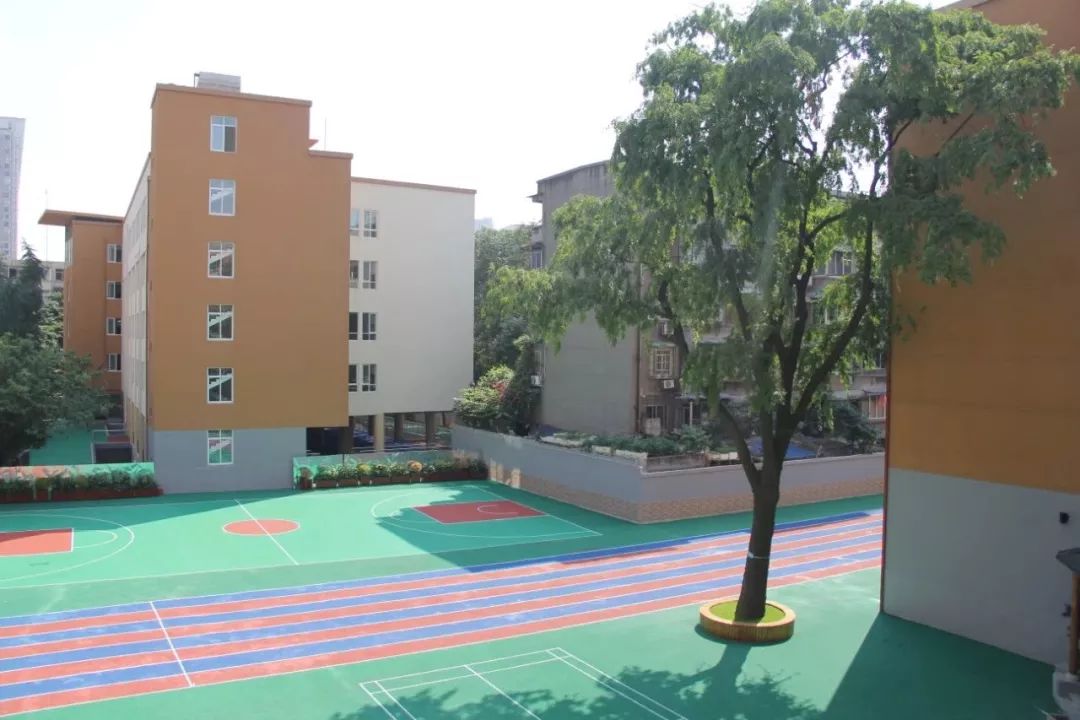 成都东城根街小学b区地址,成都东城根街小学靠谱吗
