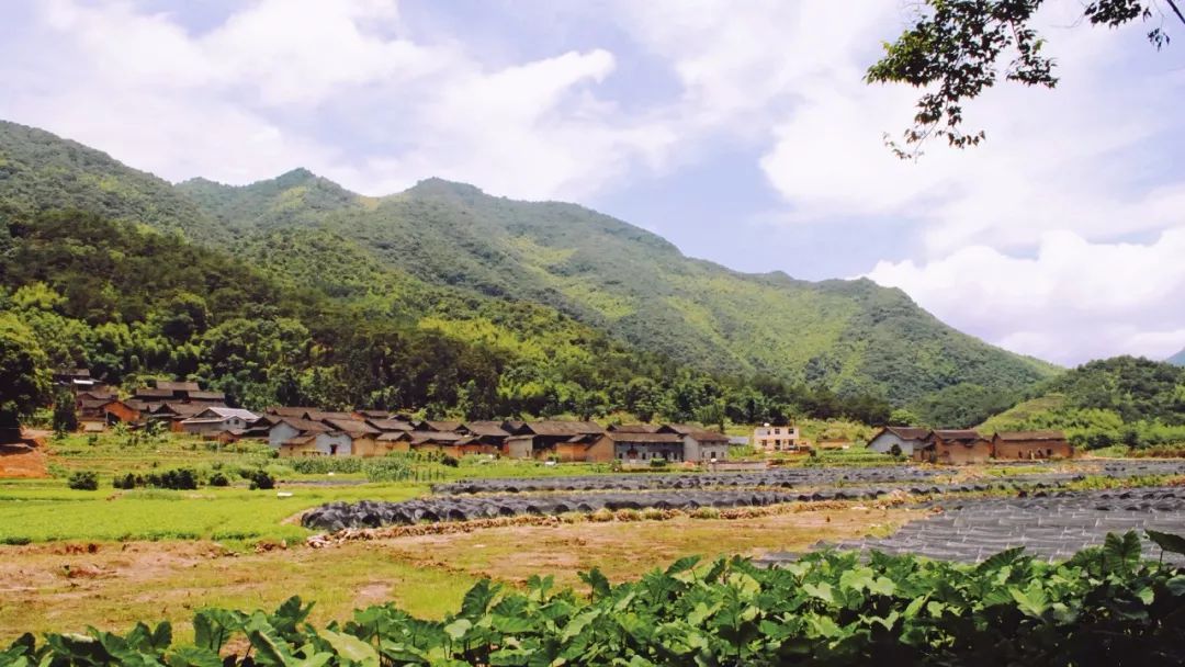 在宁德洋头，过了一段忘不掉的小生活！