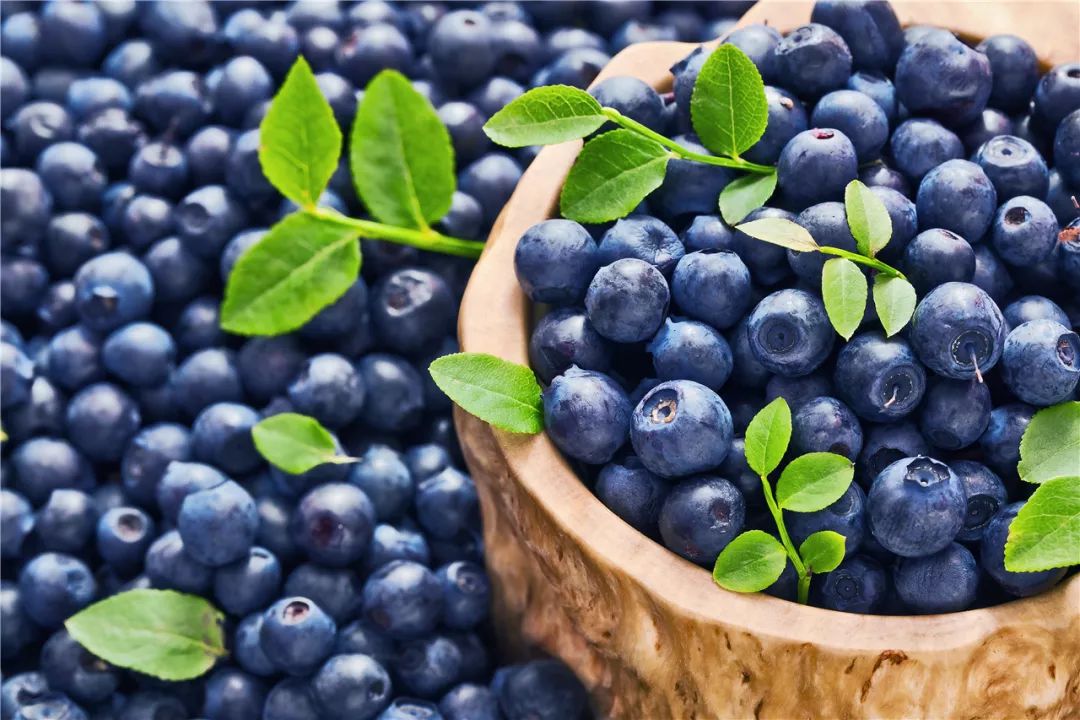 牛肉干被处罚,带肉制品入境罚款