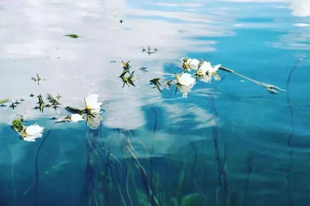 泸沽湖2月开花吗,泸沽湖等你