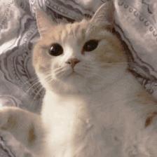 十款值得入手的奢华珠宝排行榜,珠宝10大经典款式