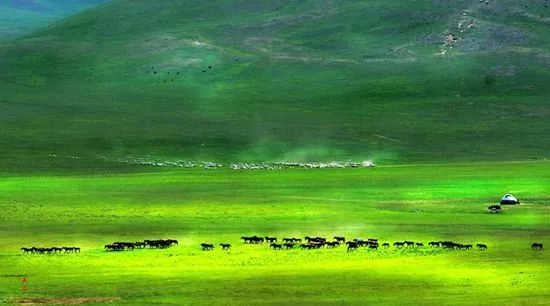 70年歌曲100首完整版,70年最火歌曲100首