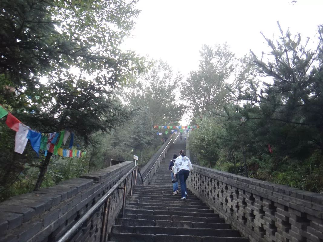 虚云老和尚朝拜五台山文殊菩萨,五台山朝拜文殊菩萨供灯视频