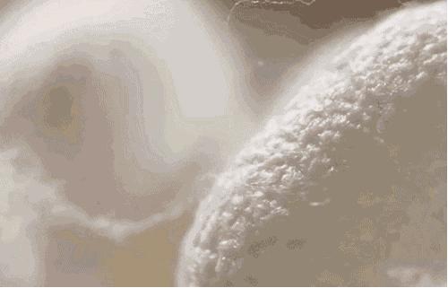 蚕丝被电视台曝光,央视曝光蚕丝被长期盖