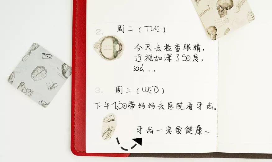 我就不信，只有我一个人想试试人体解剖丨好物推荐